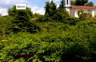 Къща във Велико Търново, с. Раданово