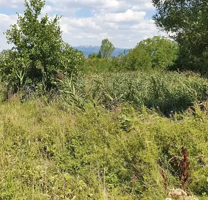 Photo 3 — Agricultural Land in Oblast Kyustendil, Resilovo