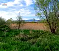 Снимка 5 — Земеделски имот в Кюстендил, с. Ресилово
