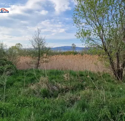 Photo 5 — Agricultural Land in Oblast Kyustendil, Resilovo