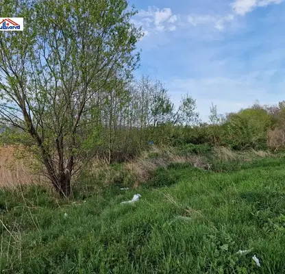 Photo 5 — Meadow in Kyustendil, Resilovo