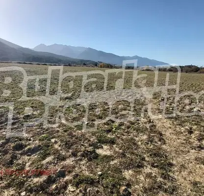 Photo 3 — Agricultural Land in Oblast Blagoevgrad, Dobrinishte