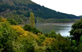 Земеделски имот в Кърджали, с. Пъдарци