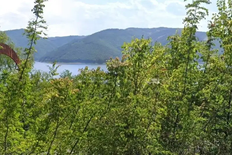 Земеделски имот в Кърджали, с. Зелениково