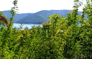 Земеделски имот в Кърджали, с. Зелениково