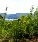 Земеделски имот в Кърджали, с. Зелениково