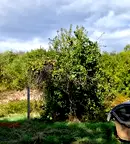 Земеделски имот в Кюстендил, с. Крайници