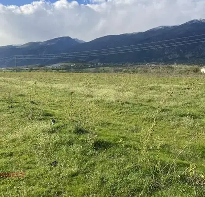 Photo 2 — Agricultural Land in Oblast Plovdiv, Karlovo