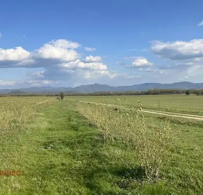 Photo 4 — Agricultural Land in Oblast Plovdiv, Karlovo