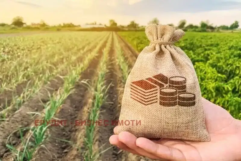 Земеделски имот в Русе, с. Иваново