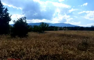 Парцел в с. Бистрица