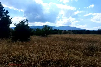 Парцел в с. Бистрица