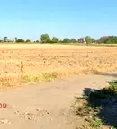 Парцел в с. Кривина