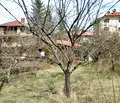 Снимка 2 — Парцел в с. Лозен