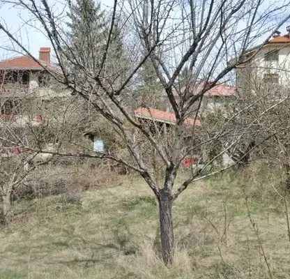 Photo 2 — Plot in Lozen