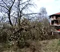 Снимка 3 — Парцел в с. Лозен
