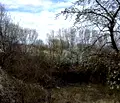 Снимка 4 — Парцел в с. Лозен