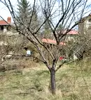 Парцел в с. Лозен