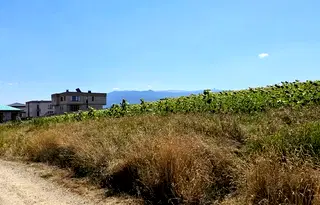 Парцел в с. Иваняне