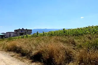 Парцел в с. Иваняне