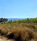 Парцел в с. Иваняне
