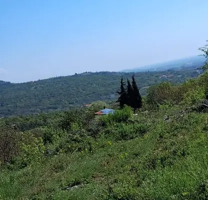 Photo 5 — Plot in Studentsko che