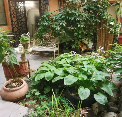 Photo 2 — Plot in Sofiya, Centyr