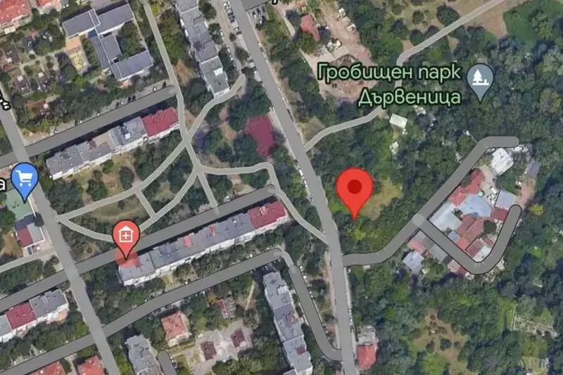 Парцел в София, Дървеница