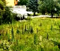 Снимка 2 — Парцел в Перник, Изток