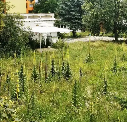 Photo 2 — Plot in Pernik, Iztok