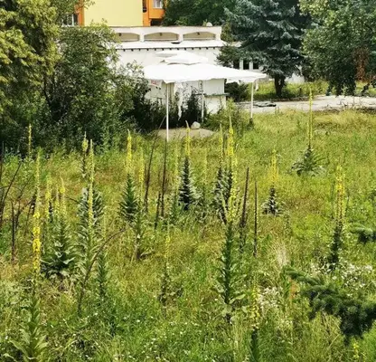Photo 3 — Plot in Pernik, Iztok