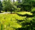 Снимка 4 — Парцел в Перник, Изток