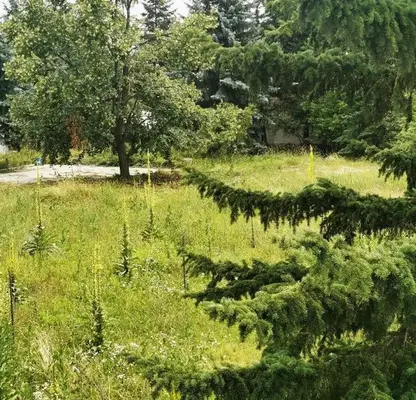 Photo 4 — Plot in Pernik, Iztok
