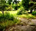 Снимка 5 — Парцел в Перник, Изток