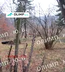 Парцел в София, Княжево