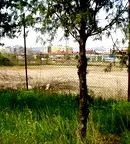 Парцел в Стара Загора, Кольо Ганчев