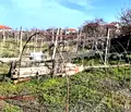Снимка 3 — Парцел в Бургас, Ахелой