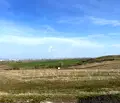 Снимка 3 — Парцел в Бургас, с. Тънково