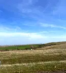 Парцел в Бургас, с. Тънково
