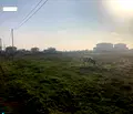 Снимка 5 — Парцел в Добрич, с. Топола
