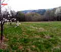 Снимка 3 — Парцел в Габрово, Трявна