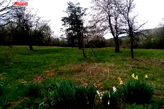 Парцел в Габрово, Трявна