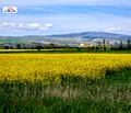 Снимка 4 — Парцел в Кюстендил, Дупница