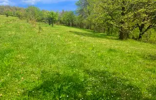Парцел в Ловеч, Априлци