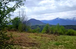 Парцел в Ловеч, Априлци