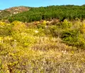 Снимка 2 — Парцел в Пловдив, Карлово