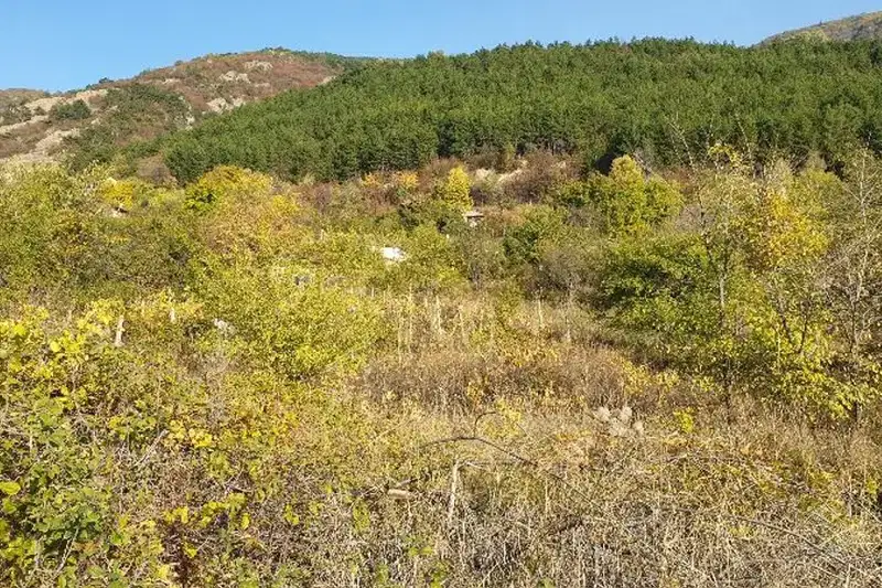 Парцел в Пловдив, Карлово