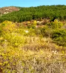 Парцел в Пловдив, Карлово