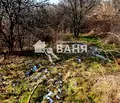 Снимка 4 — Парцел в Пловдив, с. Иван Вазово