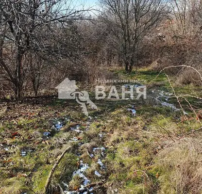 Photo 4 — Plot in Oblast Plovdiv, Ivan Vazovo